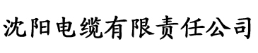 小黄鸭app黄电缆厂logo